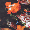 Dywan w kwiaty - Florine Czarny/Pomarańczowy - thumbnail 3